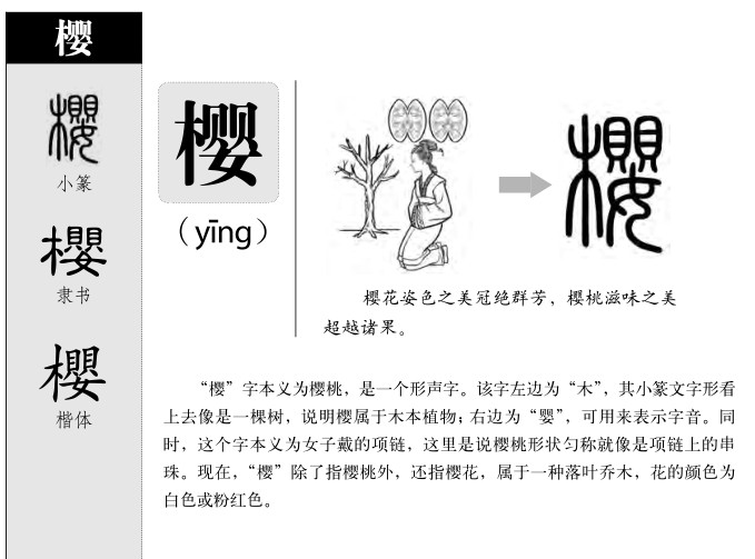 ӣ��������ʲô��ӣ�ֵĺ�����ʲô��ӣ��ȡ����Ԣ�⣨�к���Ů����