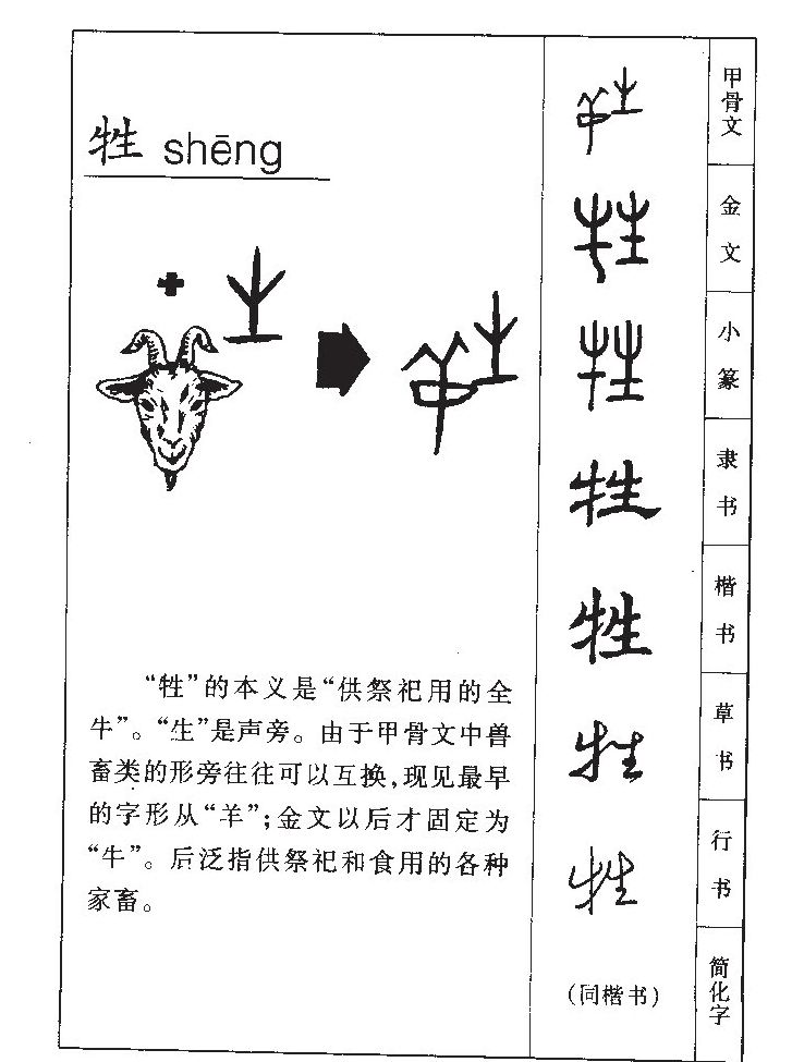 ����������ʲô�����ֵĺ�����ʲô������ȡ����Ԣ�⣨�к���Ů����