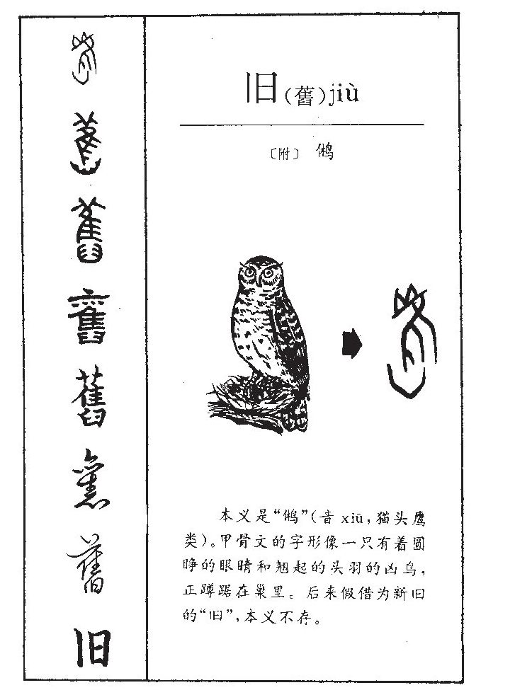 ����������ʲô�����ֵĺ�����ʲô������ȡ����Ԣ�⣨�к���Ů����