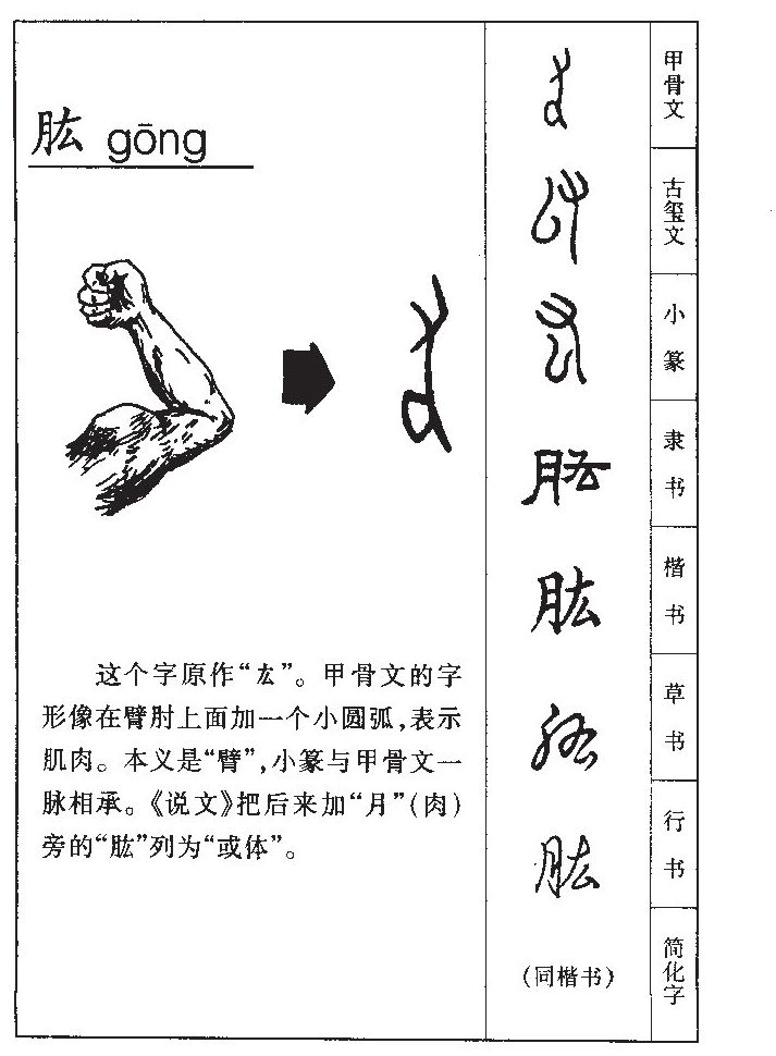 ����������ʲô�����ֵĺ�����ʲô������ȡ����Ԣ�⣨�к���Ů����