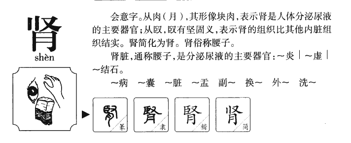 ����������ʲô�����ֵĺ�����ʲô������ȡ����Ԣ�⣨�к���Ů����