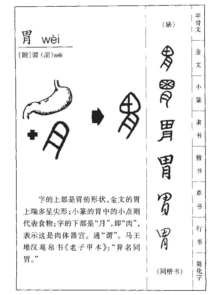 θ��������ʲô��θ�ֵĺ�����ʲô��θ��ȡ����Ԣ�⣨�к���Ů����