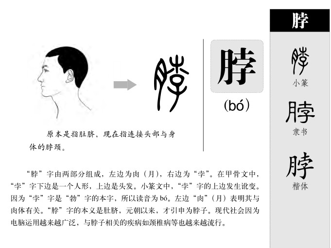 ����������ʲô�����ֵĺ�����ʲô������ȡ����Ԣ�⣨�к���Ů����