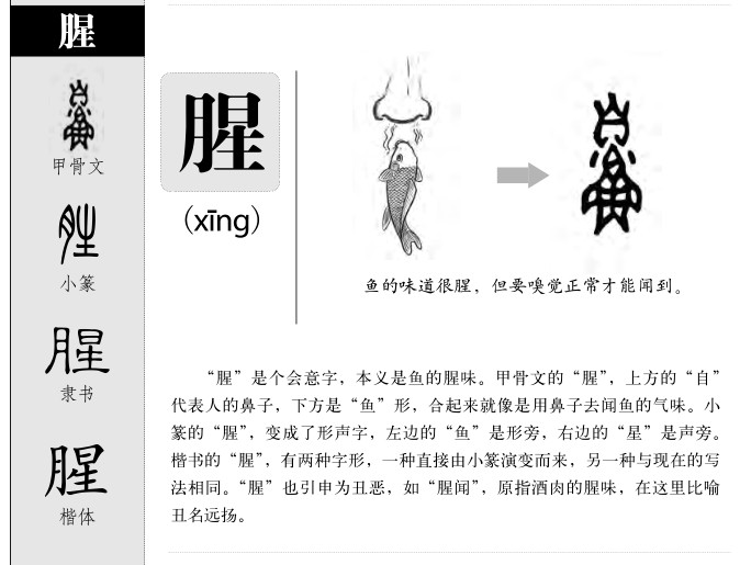 ����������ʲô�����ֵĺ�����ʲô������ȡ����Ԣ�⣨�к���Ů����