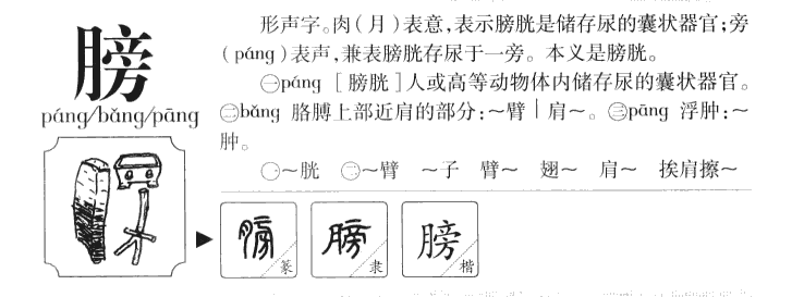 ����������ʲô�����ֵĺ�����ʲô������ȡ����Ԣ�⣨�к���Ů����