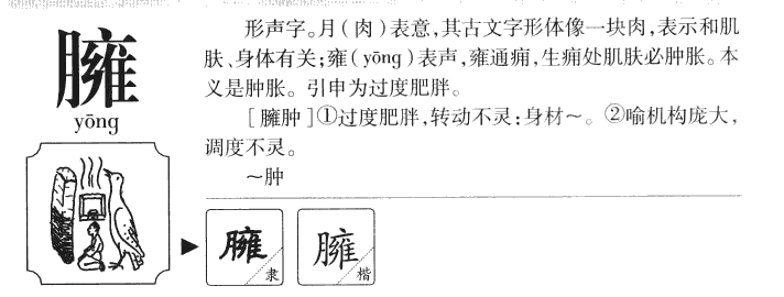 ӷ��������ʲô��ӷ�ֵĺ�����ʲô��ӷ��ȡ����Ԣ�⣨�к���Ů����