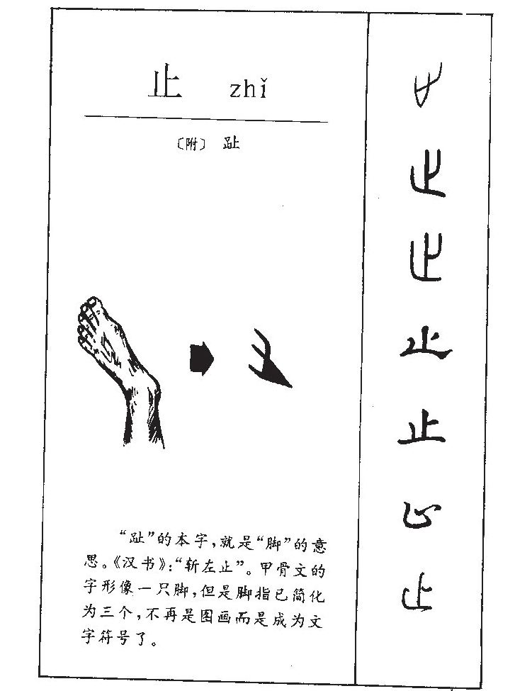 ֹ��������ʲô��ֹ�ֵĺ�����ʲô��ֹ��ȡ����Ԣ�⣨�к���Ů����