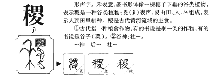 ���������ʲô����ֵĺ�����ʲô�����ȡ����Ԣ�⣨�к���Ů����