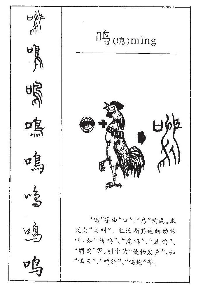 ����������ʲô�����ֵĺ�����ʲô������ȡ����Ԣ�⣨�к���Ů����