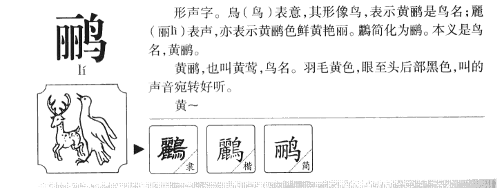 ���������ʲô����ֵĺ�����ʲô�����ȡ����Ԣ�⣨�к���Ů����