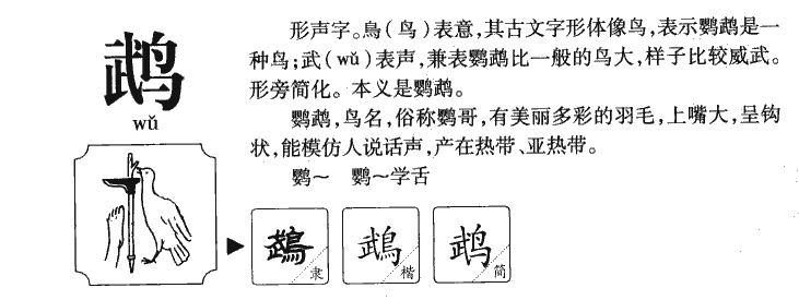 ����������ʲô�����ֵĺ�����ʲô������ȡ����Ԣ�⣨�к���Ů����