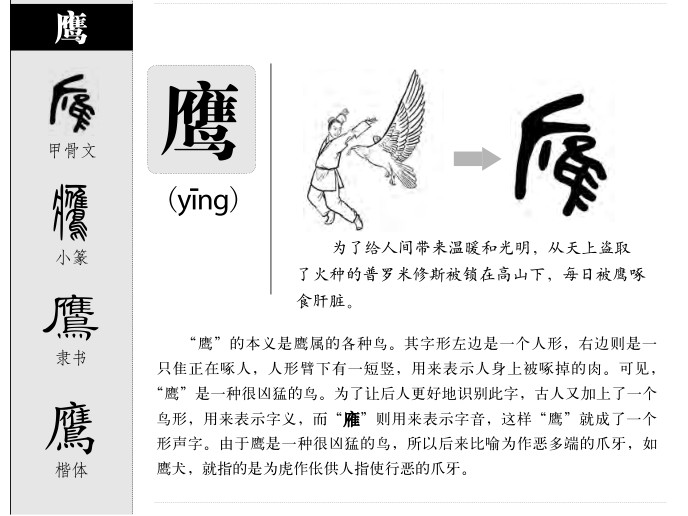 ӥ��������ʲô��ӥ�ֵĺ�����ʲô��ӥ��ȡ����Ԣ�⣨�к���Ů����