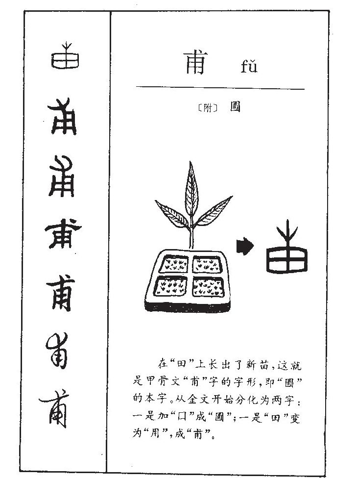 ����������ʲô�����ֵĺ�����ʲô������ȡ����Ԣ�⣨�к���Ů����