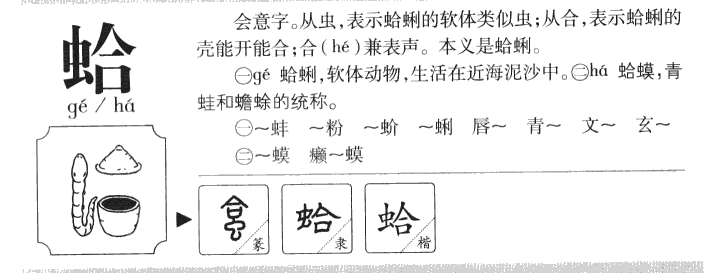 ����������ʲô�����ֵĺ�����ʲô������ȡ����Ԣ�⣨�к���Ů����