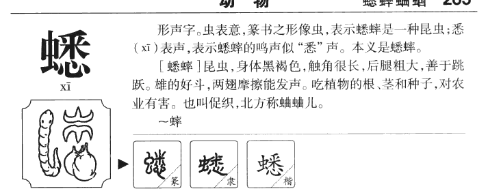 ���������ʲô����ֵĺ�����ʲô�����ȡ����Ԣ�⣨�к���Ů����