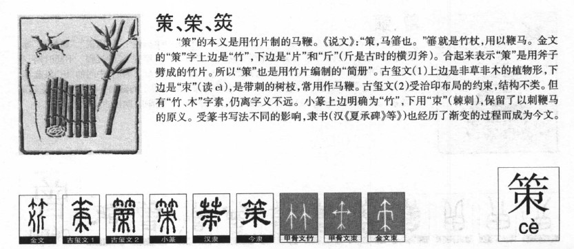 ����������ʲô�����ֵĺ�����ʲô������ȡ����Ԣ�⣨�к���Ů����