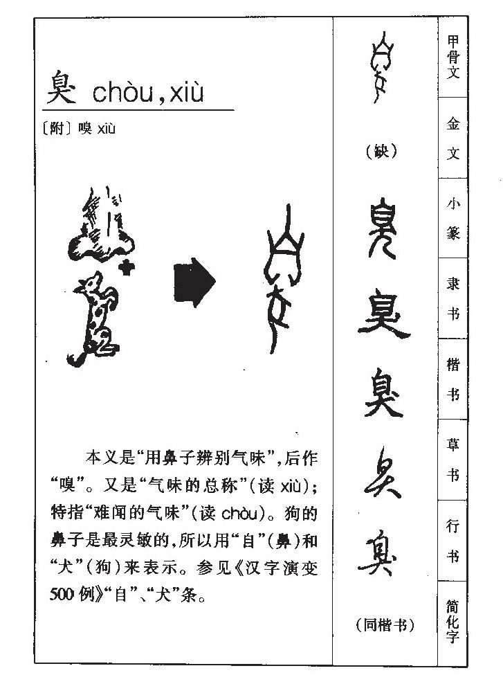 ����������ʲô�����ֵĺ�����ʲô������ȡ����Ԣ�⣨�к���Ů����