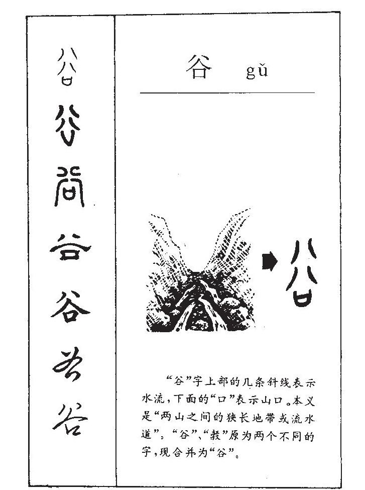 ����������ʲô�����ֵĺ�����ʲô������ȡ����Ԣ�⣨�к���Ů����