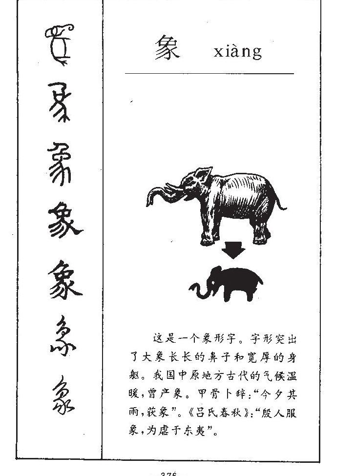 ����������ʲô�����ֵĺ�����ʲô������ȡ����Ԣ�⣨�к���Ů����