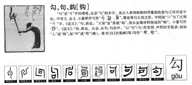 ����������ʲô�����ֵĺ�����ʲô������ȡ����Ԣ�⣨�к���Ů����