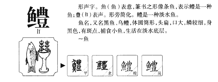 ����������ʲô�����ֵĺ�����ʲô������ȡ����Ԣ�⣨�к���Ů����