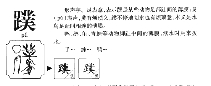 ����������ʲô�����ֵĺ�����ʲô������ȡ����Ԣ�⣨�к���Ů����