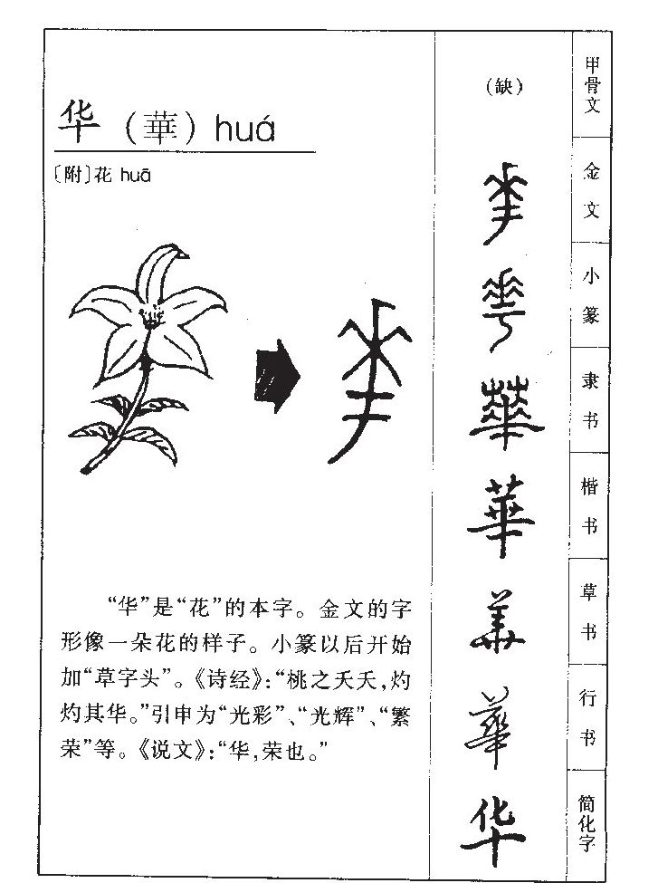 ����������ʲô�����ֵĺ�����ʲô������ȡ����Ԣ�⣨�к���Ů����