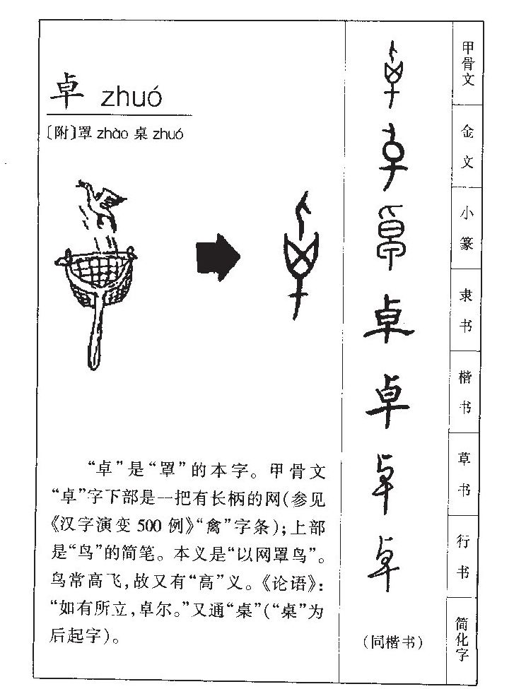 ׿��������ʲô��׿�ֵĺ�����ʲô��׿��ȡ����Ԣ�⣨�к���Ů����