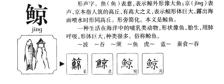 ����������ʲô�����ֵĺ�����ʲô������ȡ����Ԣ�⣨�к���Ů����