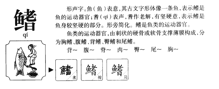 ����������ʲô�����ֵĺ�����ʲô������ȡ����Ԣ�⣨�к���Ů����