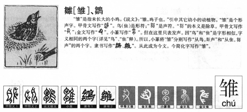 ����������ʲô�����ֵĺ�����ʲô������ȡ����Ԣ�⣨�к���Ů����