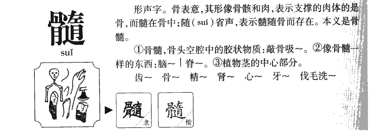 ����������ʲô�����ֵĺ�����ʲô������ȡ����Ԣ�⣨�к���Ů����