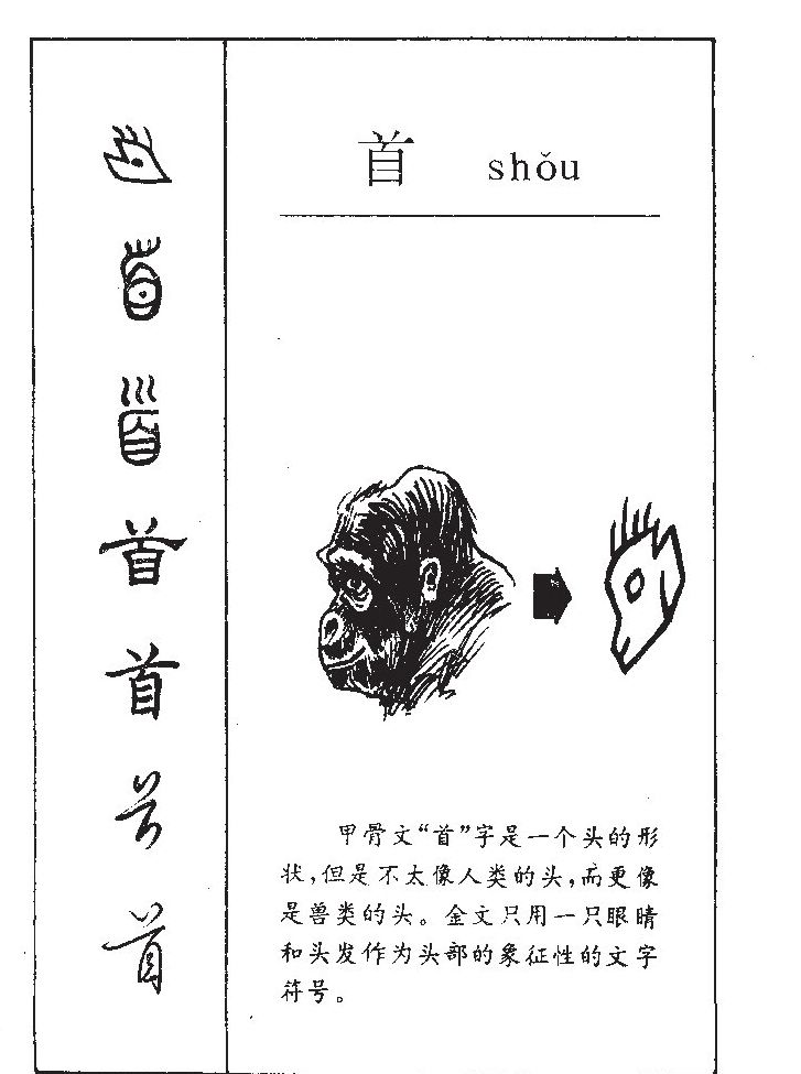 ����������ʲô�����ֵĺ�����ʲô������ȡ����Ԣ�⣨�к���Ů����