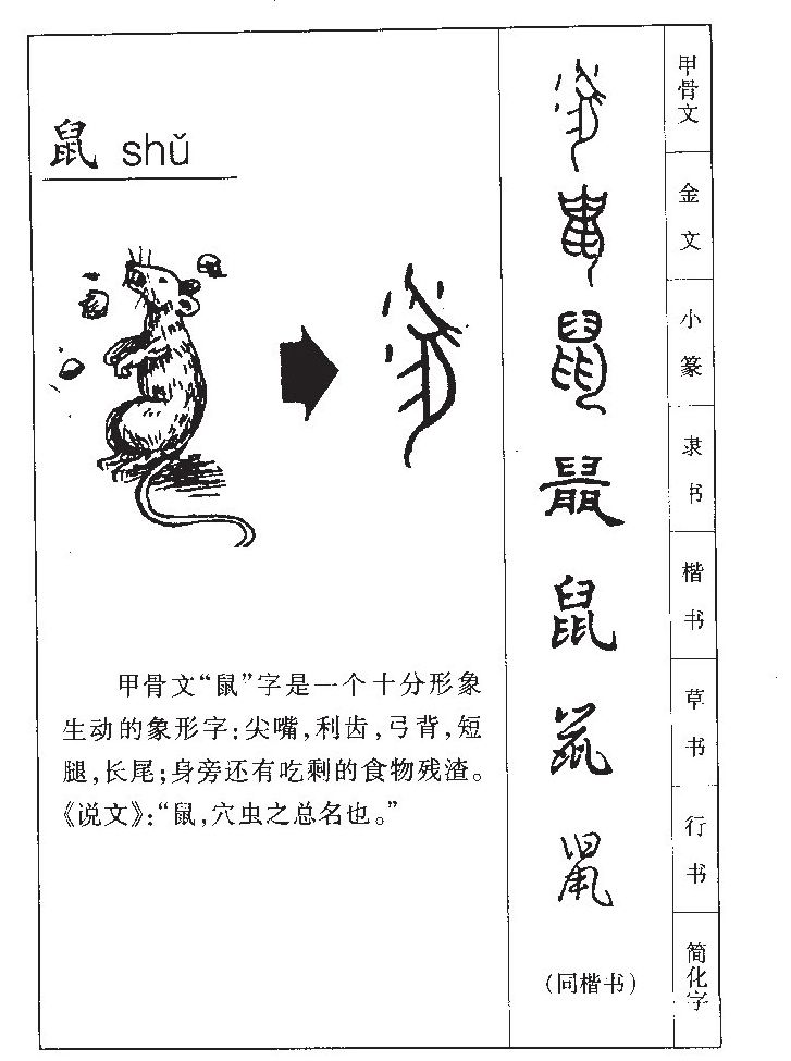 ����������ʲô�����ֵĺ�����ʲô������ȡ����Ԣ�⣨�к���Ů����