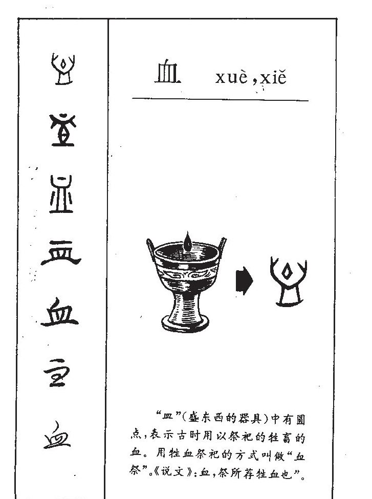 Ѫ��������ʲô��Ѫ�ֵĺ�����ʲô��Ѫ��ȡ����Ԣ�⣨�к���Ů����