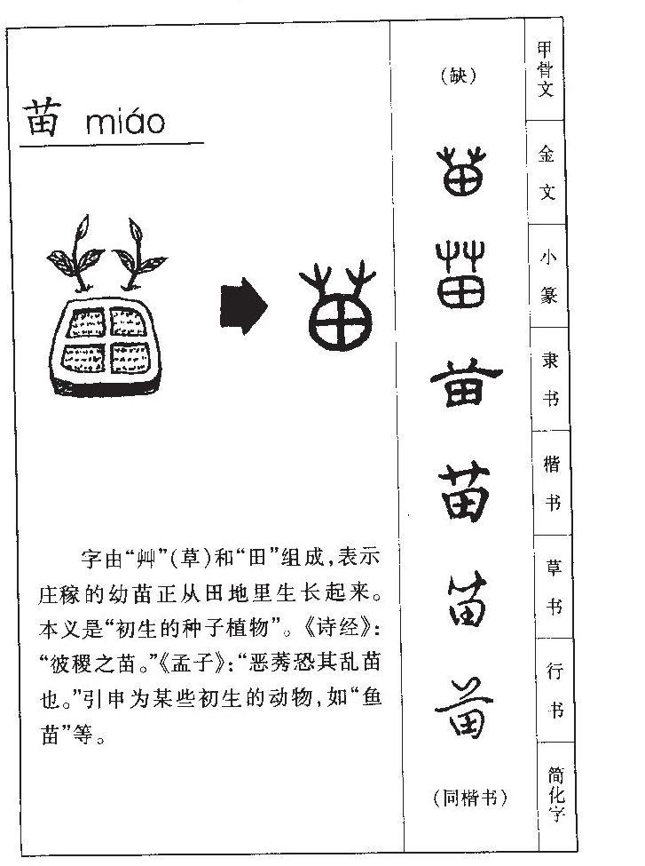 ����������ʲô�����ֵĺ�����ʲô������ȡ����Ԣ�⣨�к���Ů����