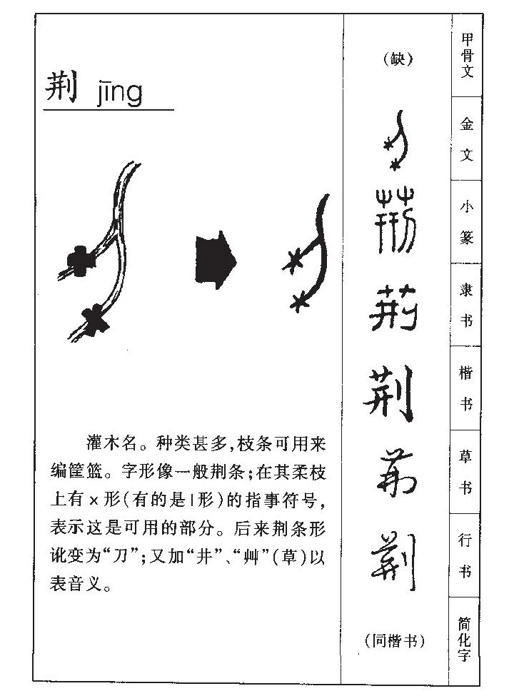 ����������ʲô�����ֵĺ�����ʲô������ȡ����Ԣ�⣨�к���Ů����