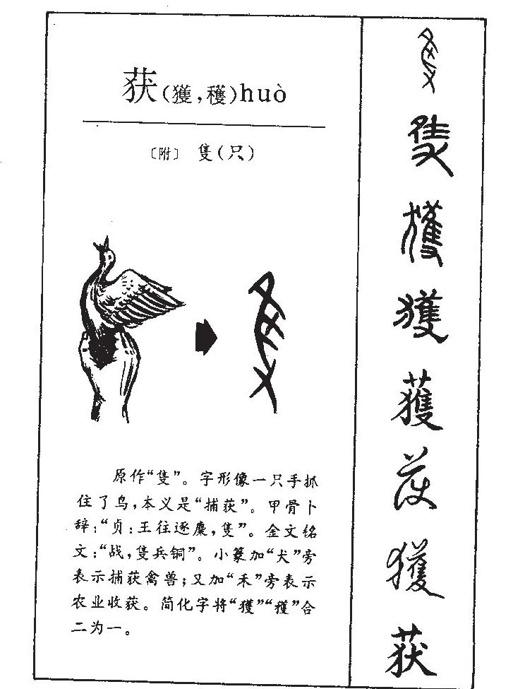 ݶ��������ʲô��ݶ�ֵĺ�����ʲô��ݶ��ȡ����Ԣ�⣨�к���Ů����