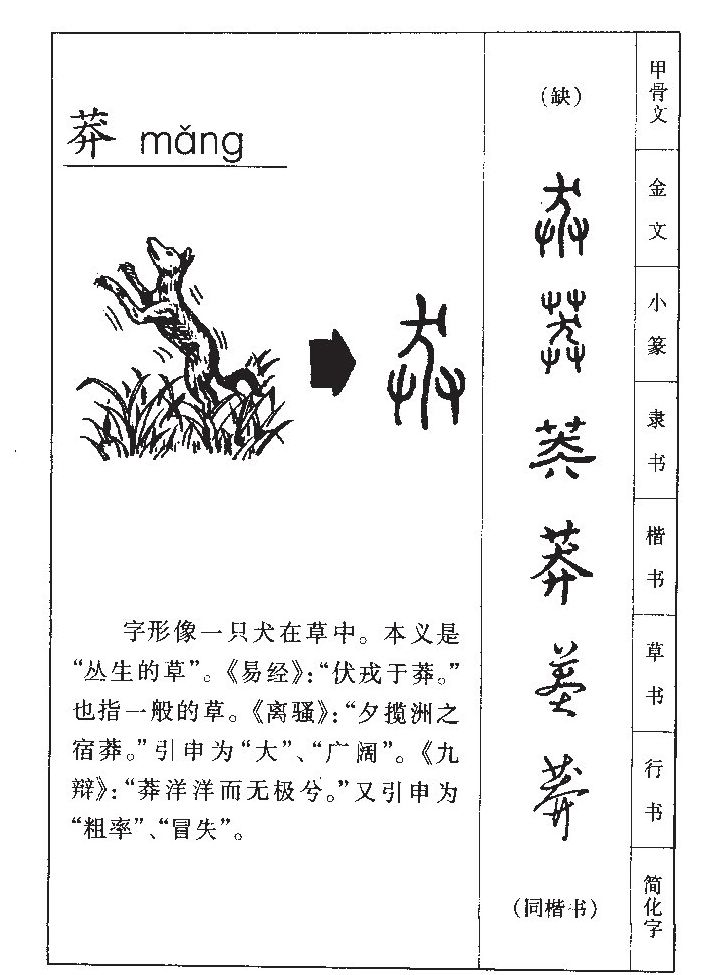 ç��������ʲô��ç�ֵĺ�����ʲô��ç��ȡ����Ԣ�⣨�к���Ů����