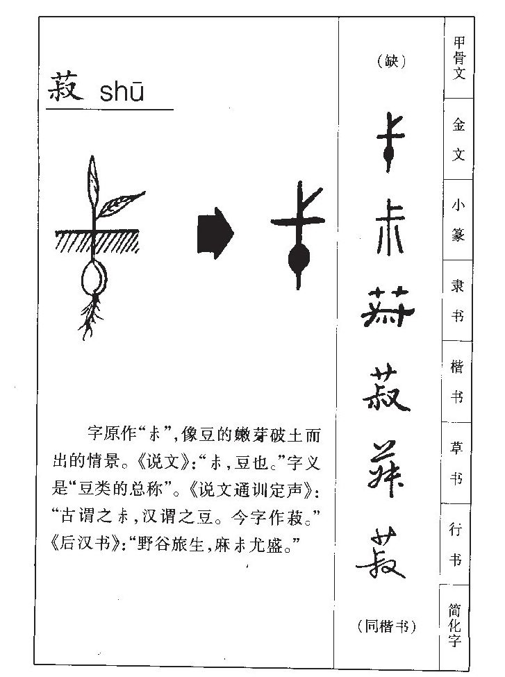 ����������ʲô�����ֵĺ�����ʲô������ȡ����Ԣ�⣨�к���Ů����