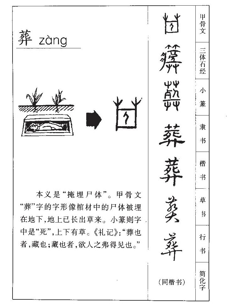 ����������ʲô�����ֵĺ�����ʲô������ȡ����Ԣ�⣨�к���Ů����