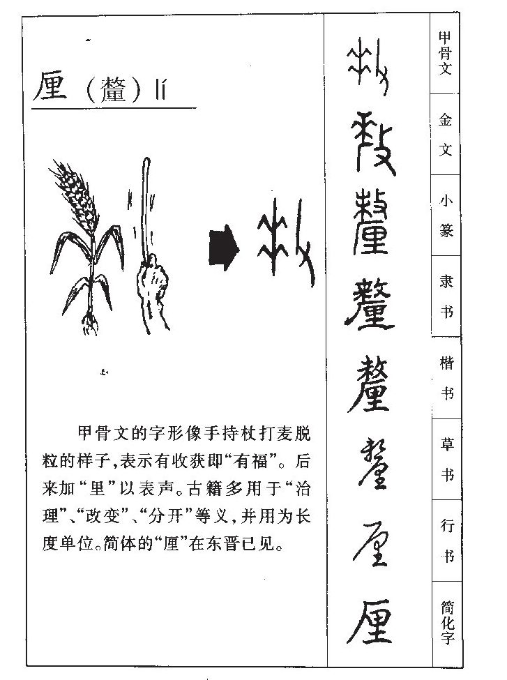 ����������ʲô�����ֵĺ�����ʲô������ȡ����Ԣ�⣨�к���Ů����