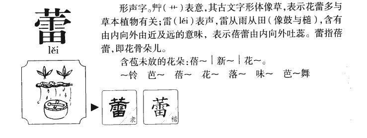 ����������ʲô�����ֵĺ�����ʲô������ȡ����Ԣ�⣨�к���Ů����