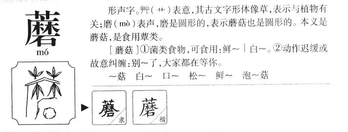 Ģ��������ʲô��Ģ�ֵĺ�����ʲô��Ģ��ȡ����Ԣ�⣨�к���Ů����