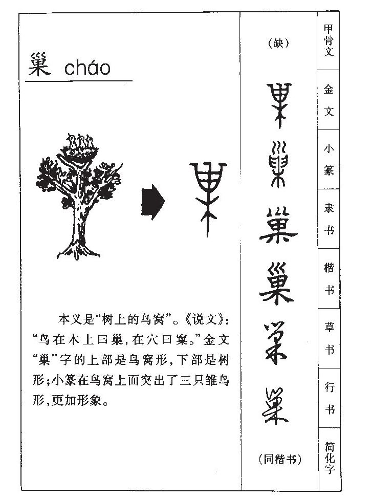 ����������ʲô�����ֵĺ�����ʲô������ȡ����Ԣ�⣨�к���Ů����