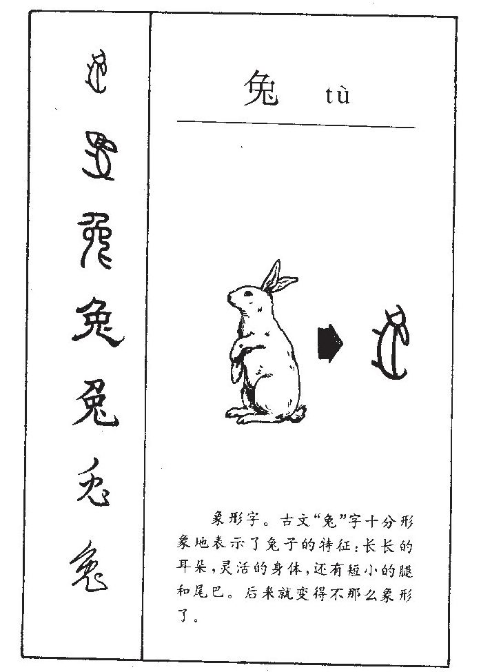 ����������ʲô�����ֵĺ�����ʲô������ȡ����Ԣ�⣨�к���Ů����