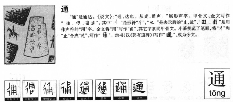 ͨ��������ʲô��ͨ�ֵĺ�����ʲô��ͨ��ȡ����Ԣ�⣨�к���Ů����