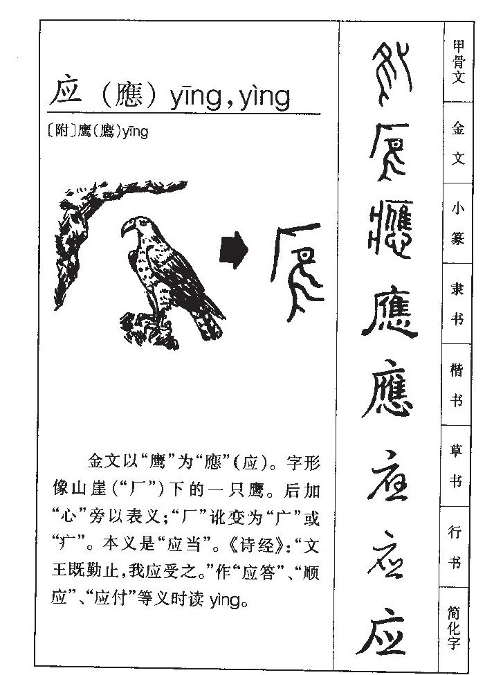 Ӧ��������ʲô��Ӧ�ֵĺ�����ʲô��Ӧ��ȡ����Ԣ�⣨�к���Ů����