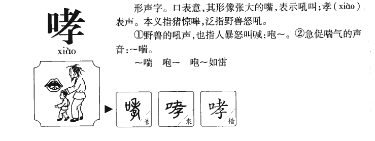 ����������ʲô�����ֵĺ�����ʲô������ȡ����Ԣ�⣨�к���Ů����