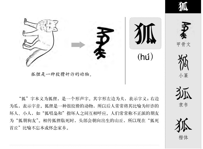 ����������ʲô�����ֵĺ�����ʲô������ȡ����Ԣ�⣨�к���Ů����